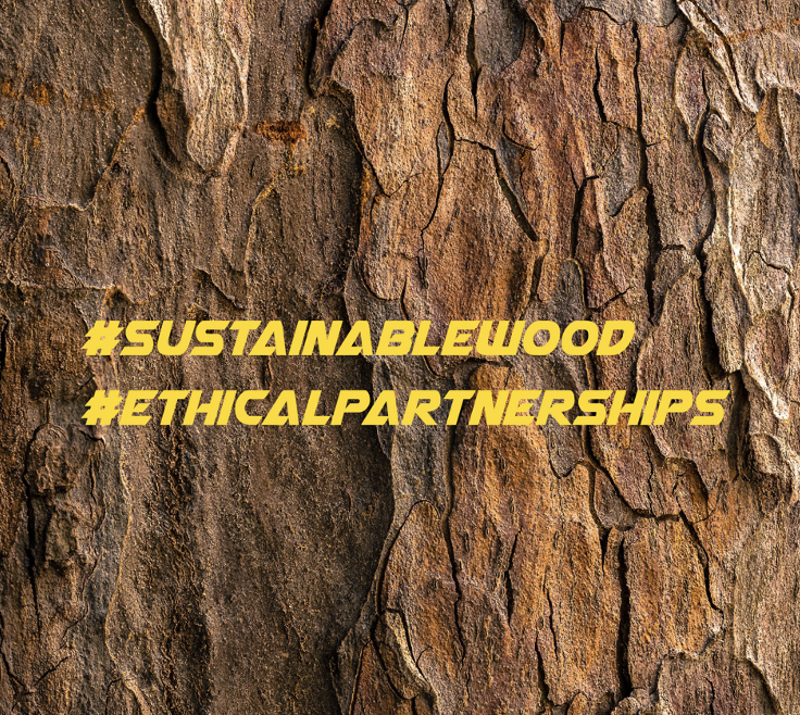 Screenshot 2025-08-12 at 5.42.04 PM