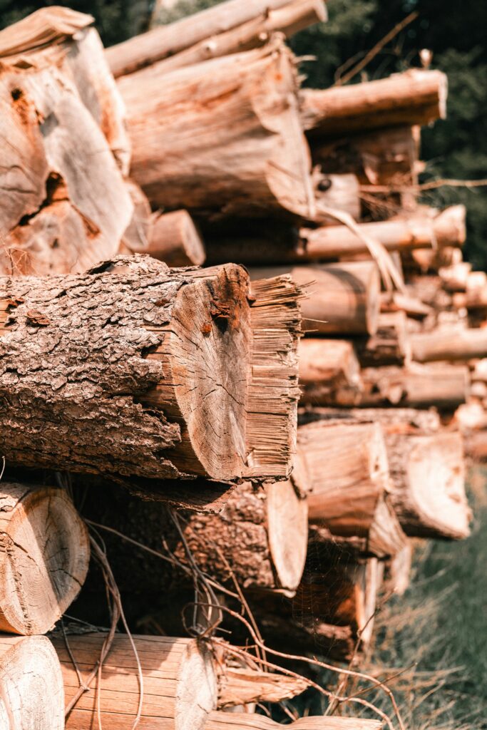 mohamed-b-Pm5CPyRdmaY-unsplash